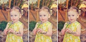 Image of PSE Twisted Smoothies Set