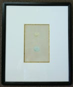 Image of Custom framed antique Morris egg prints, 4 of 12