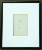 Image of Custom framed antique Morris egg prints, 6 of 12