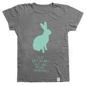 Image of RABBIT