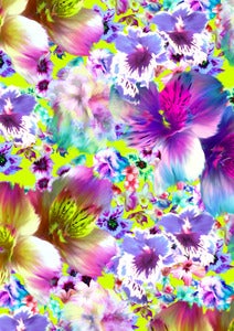 Image of NEON floral
