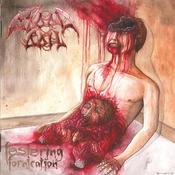 Image of Bloodboil - Festering Fornication (2006)