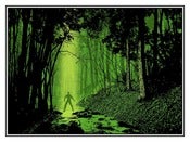 Image of From The Shadows