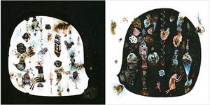 Image of Max Kauffman: <i>Such Noble Pursuits 1 & 2 (Diptych)<i>