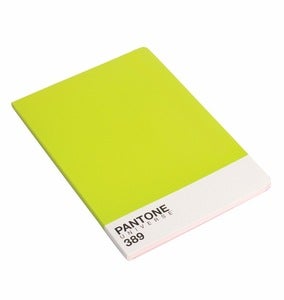Image of Pantone Lime Green 389 Notebook