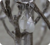 Image of Drop Shell Earrings