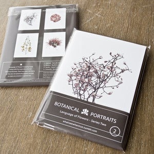 Image of Greeting Cards - The Language of Flowers - Series 2