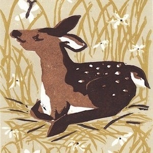 Image of Fawn Print