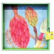 Image of Magnolia Tray by rockflowerpaper