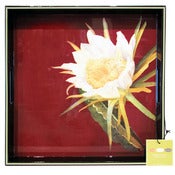 Image of Blooming Cereus Tray by rockflowerpaper