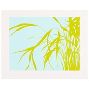 Image of Grassy Plant Print III