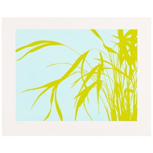 Image of Grassy Plant Print III