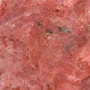 Image of Ruby