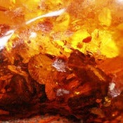Image of Amber