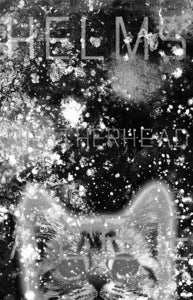 Image of HELMS ALEE - Weatherhead cassette
