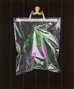 Image of Dr. Bruce Banner