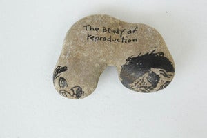 Image of The Beauty of Reproduction