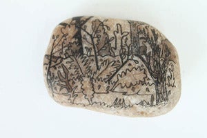 Image of Jungle Scene