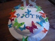 Image of Butterfly Cake