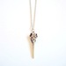 Image of Bird Skull