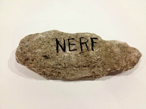 Image of Nerf