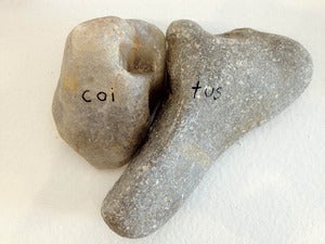 Image of Coi/Tus