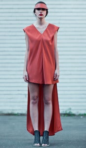 Image of PILGRIM dress (terracotta)