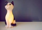 Image of La grande veilleuse chat ♥