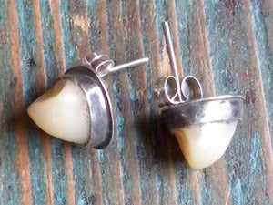 Image of PREMOLAR earrings