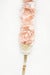 Image of Simply Bloom