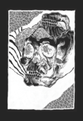 Image of VENOWL - Untitled CS