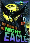 Image of Night Eagle Poster