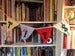Image of The bunting for bosom lovers