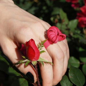 Image of Pumpkin Ring Pink