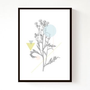 Image of Thistle Geo (A4)