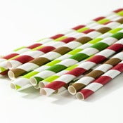 Image of Classic Christmas Stripe Paper Straws