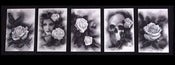 Image of PluraBella Postcard Set- Artwork by Kore Flatmo_5 Cards