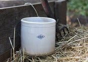 Image of Crocks