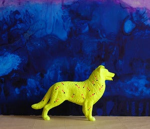 Image of dog/yellow the strange planet