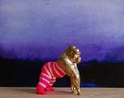 Image of gorilla gold /the strange planet