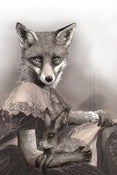 Image of Mrs Spring Fox 11 x 14 print