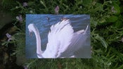 Image of an imaginary journey of july, postcard series no.08