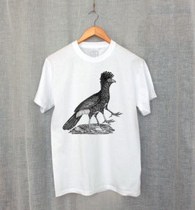 Image of FUNKY BIRD