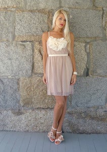Image of Posey: Blush Vintage Lace Dress with Silk Applique & Pearls