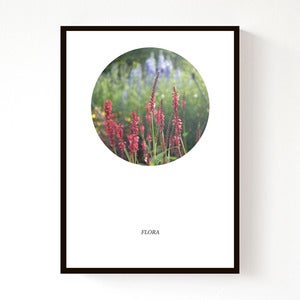 Image of New - Flora (A3)