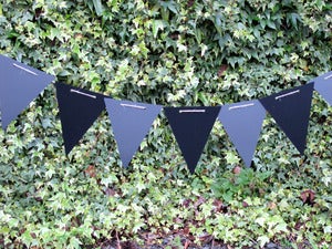 Image of Blackboard Bunting