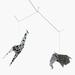 Image of Zoo mobile - Black & White
