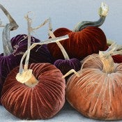 Image of Velvet Plush Pumpkin Fall Jewels Large Set
