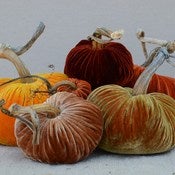 Image of Velvet Plush Pumpkin Fall Sunset Large Set