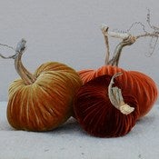 Image of Velvet Plush Pumpkin Fall Sunset Trio
